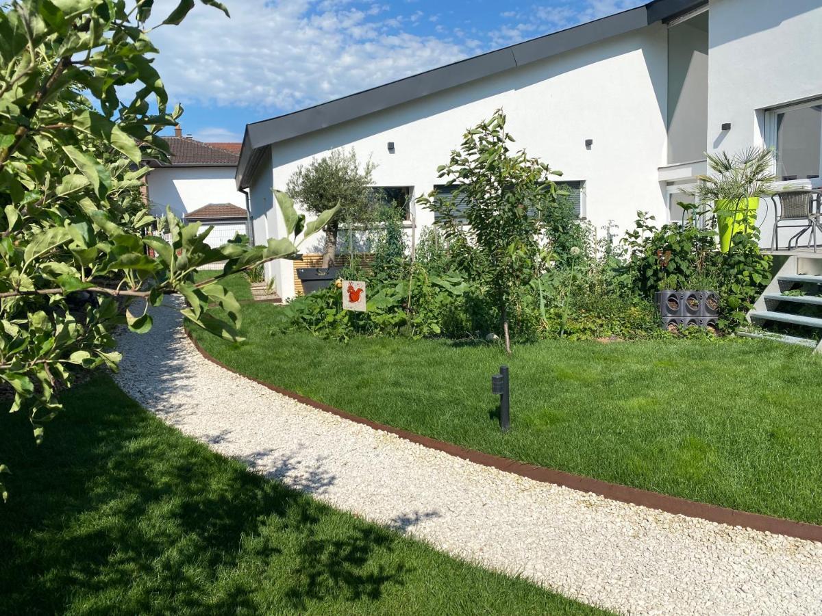 Le Clos Des Pommiers Uffholtz Eksteriør bilde